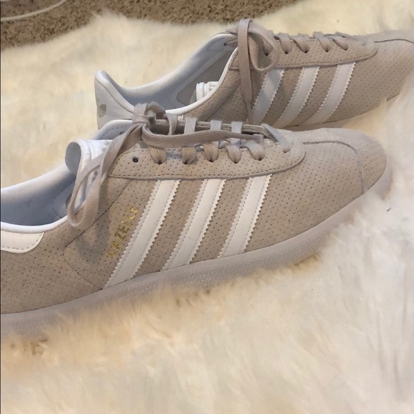 gazelle samba